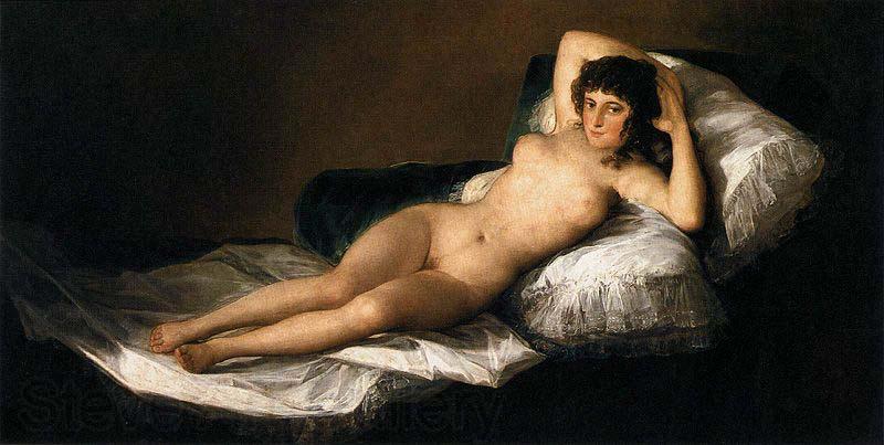 Francisco Goya The Nude Maja France oil painting art